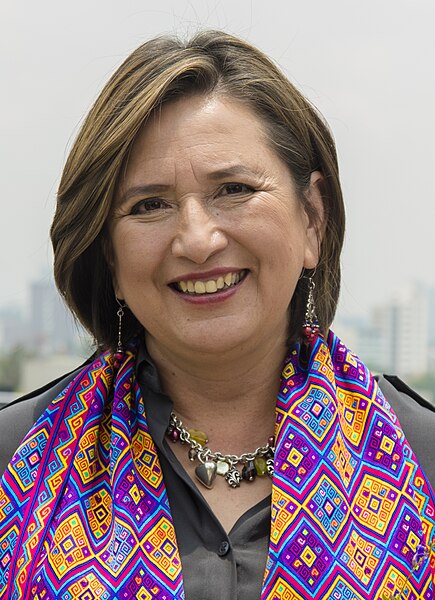 File:Bertha Xóchitl Gálvez Ruiz (2) (cropped).jpg